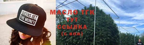 шишки Горно-Алтайск