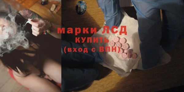 шишки Горно-Алтайск