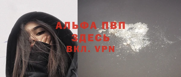 шишки Горно-Алтайск