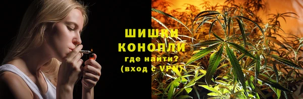 шишки Горно-Алтайск