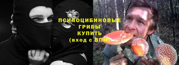 шишки Горно-Алтайск