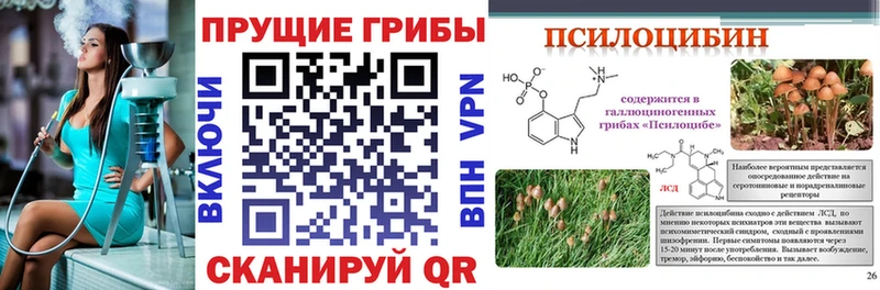 Псилоцибиновые грибы GOLDEN TEACHER  Заводоуковск 